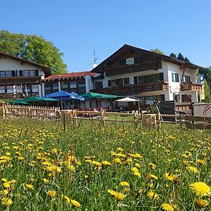 Hotel Alphorn ***